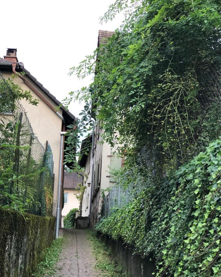 Ferienwohnung Am Gaessle Ettenheim Exterior foto